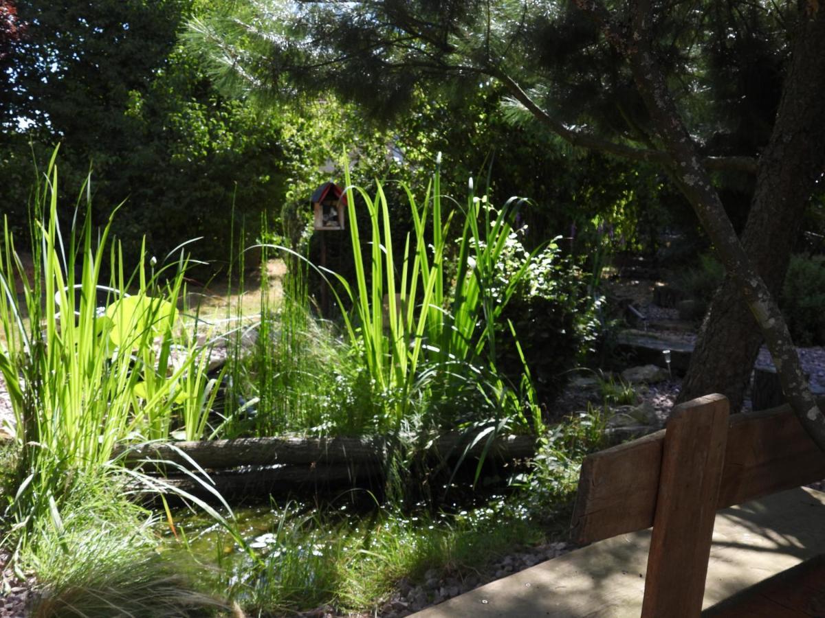 La Suite Melusine - Spa Du Souffle Du Saule Buhl-Lorraine Εξωτερικό φωτογραφία